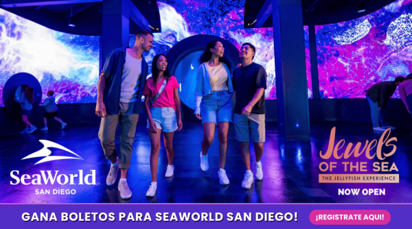 Promo SeaWorld 2025 KCEL