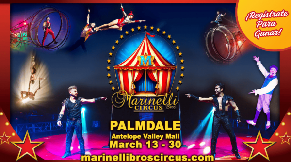 Promo MarinelliCircus 2026 KCEL